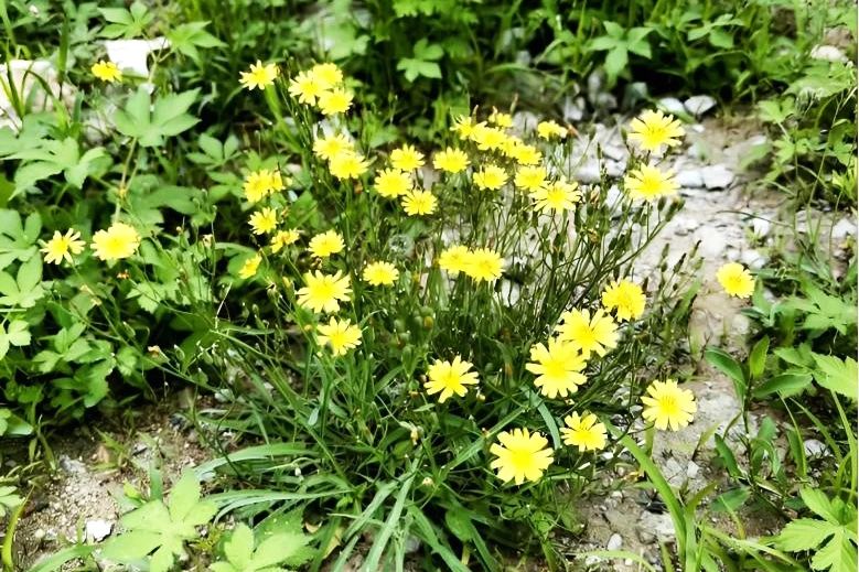 1749430232297663.jpg 21.jpg